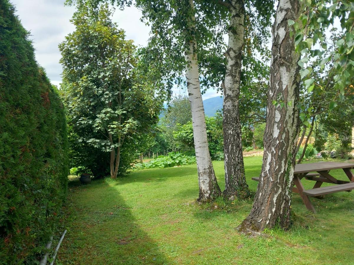 Maisonnette A La Campagne Ariege Villa Saint-Girons  Eksteriør billede