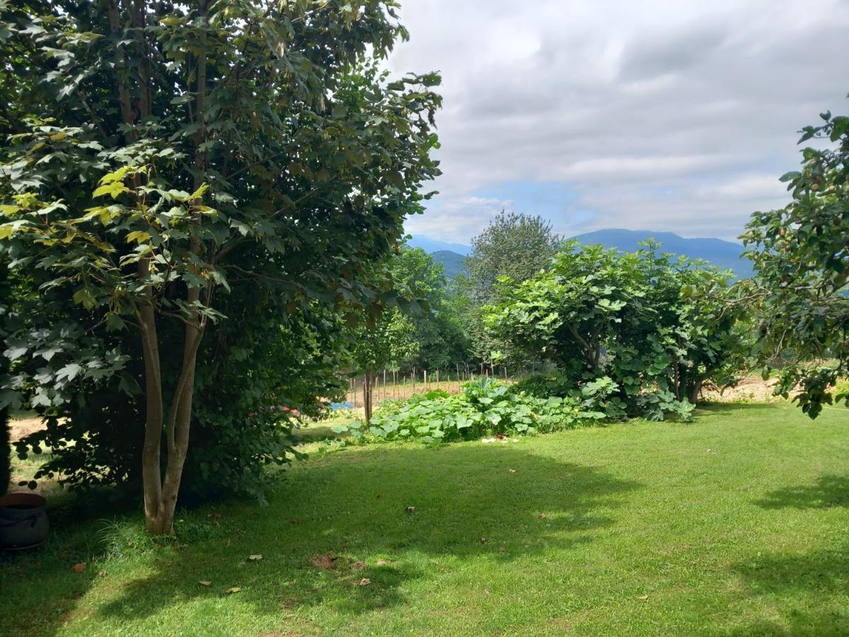 Maisonnette A La Campagne Ariege Villa Saint-Girons  Eksteriør billede